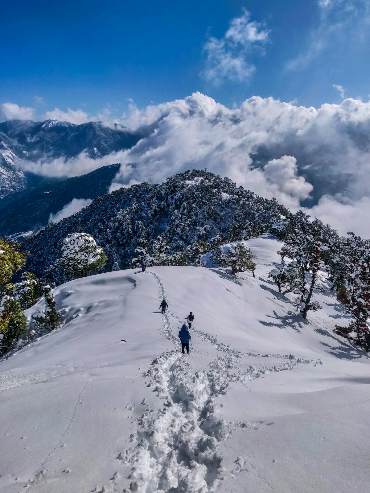 Snow-capped mountain scenery near Manali, Himachal Pradesh